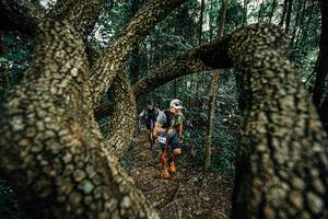 BIB: 
                            <button type="button" onclick="openModal(25392779)" class="btn btn-primary btn-sm float-right btn-popup" data-toggle="modal" data-target=".modal-high-quality">
                        <i class="fas fa-shopping-cart"></i> Add to Cart
                    </button>
                                            <button type="button" onclick="isThisMe(25392779, true)" class="btn btn-success btn-sm float-right btn-popup btn-isme hidden" data-toggle="tooltip" data-placement="bottom" title="นี่คือรูปของคุณใช่ไหม คลิกที่นี่เพื่อเอาเข้าอัลบั้ม">
                        <i class="fas fa-plus"></i> Add to album
                    </button>
                    <button type="button" onclick="isThisMe(25392779, false)" class="btn btn-warning btn-sm float-right btn-popup btn-isnotme hidden">
                        <i class="fas fa-ban"></i> Remove from album
                    </button>